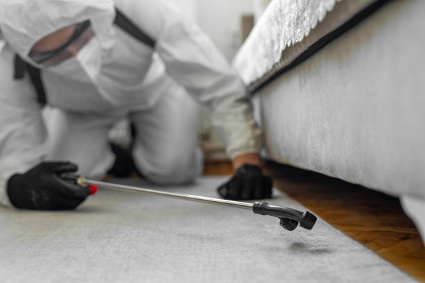 Professional Bed Bug Control technician working in Nolanville, TX