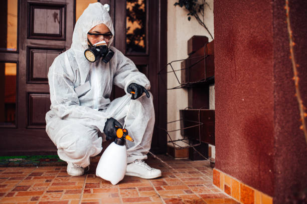 Reliable Bed Bug Control contractor in Nolanville, TX by Nex Pest Control