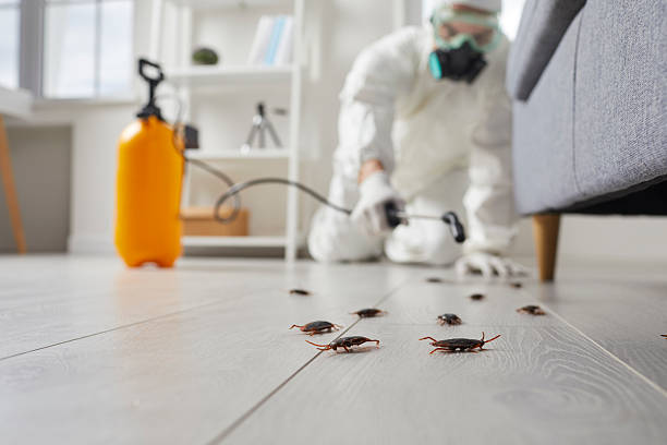 Trusted Rodent Control service in Nolanville, TX - Nex Pest Control